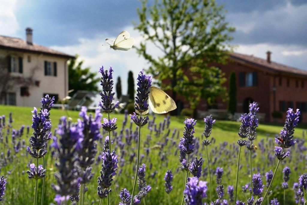 B&B Ca Bianca Dell'Abbadessa San Lazzaro di Savena Exterior photo